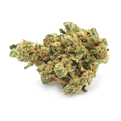 Lemon Cherry Gelato living soil cannabis from Old Growth Farms