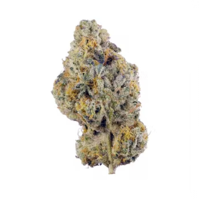 Kush Mints indica cannabis Old Growth Farms